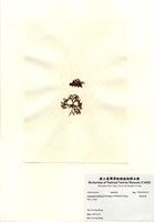 藏品(硬盾果藻)的圖片